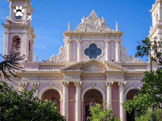 Aluguel de bicicleta em Salta (5)