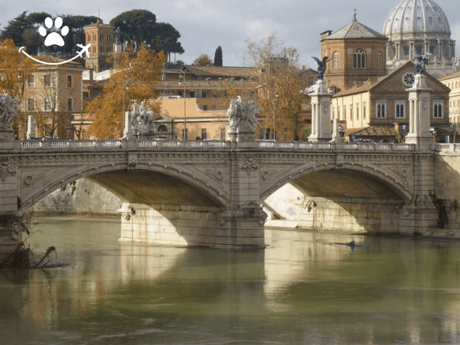 Barco turístico de Roma