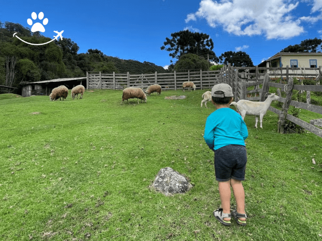 Excursão à Fazenda Esperança (2)