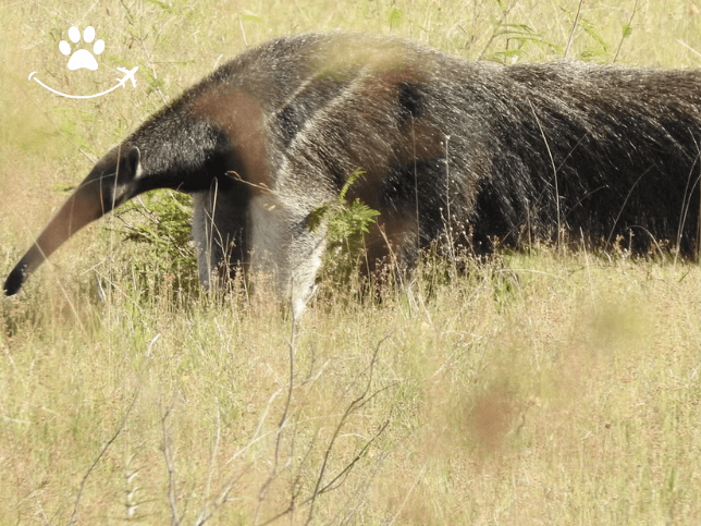 Excursão à Fazenda Esperança (5)