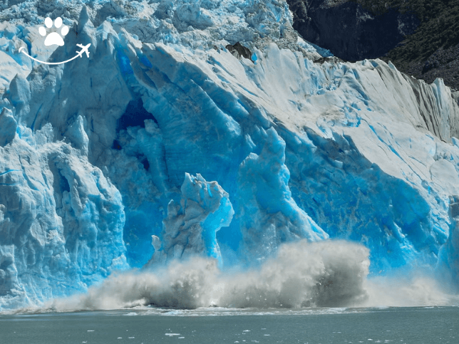 Excursão ao Parque Nacional Los Glaciares de barco (2)