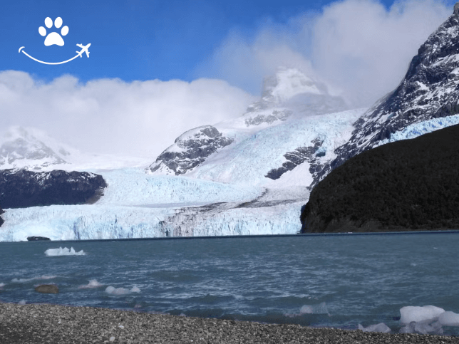 Excursão ao Parque Nacional Los Glaciares de barco (3)