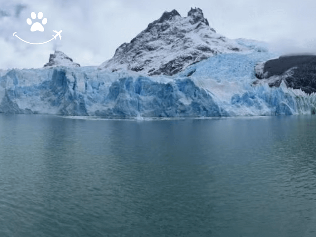 Excursão ao Parque Nacional Los Glaciares de barco (4)