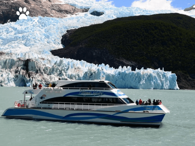 Excursão ao Parque Nacional Los Glaciares de barco (5)