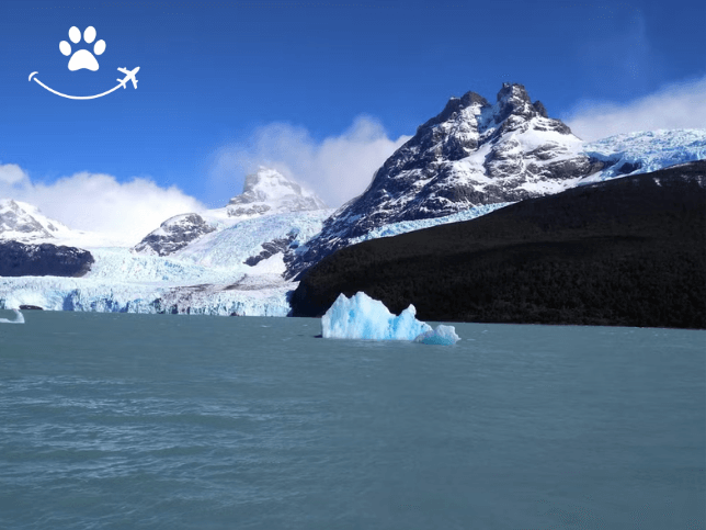 Excursão ao Parque Nacional Los Glaciares de barco (6)