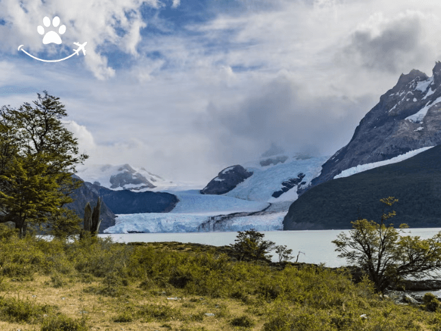 Excursão ao Parque Nacional Los Glaciares de barco (7)