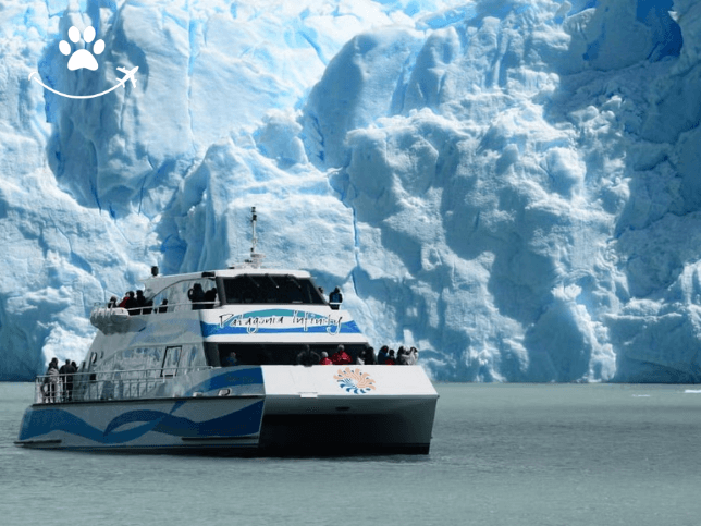 Excursão ao Parque Nacional Los Glaciares de barco (9)