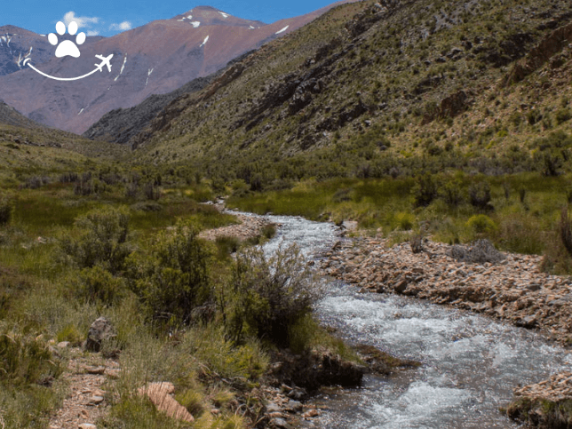 Excursão de pesca pela província de Mendoza (1)