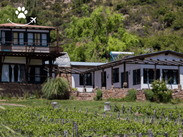 Excursão de pesca pela província de Mendoza (4)