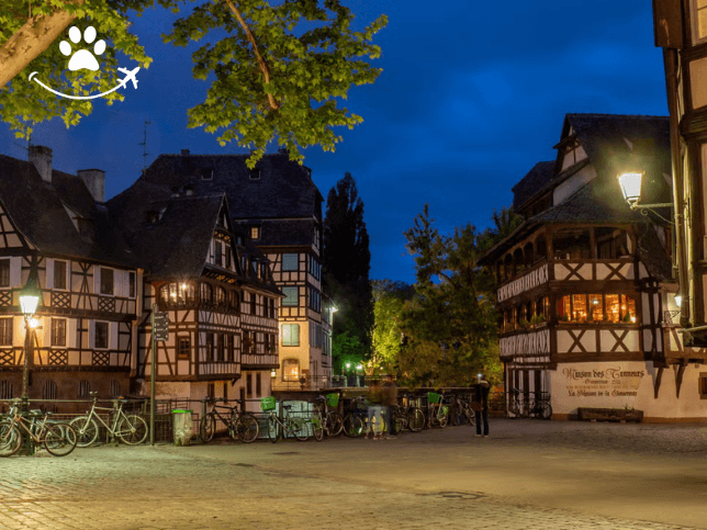 Free tour dos mistérios e lendas de Estrasburgo (4)