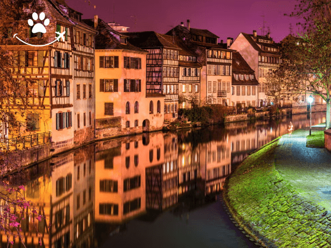 Free tour dos mistérios e lendas de Estrasburgo (5)