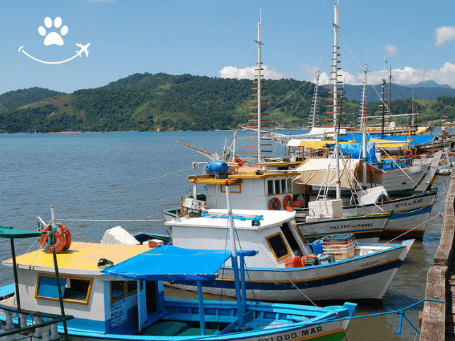 Free tour pelo centro histórico de Paraty (5)