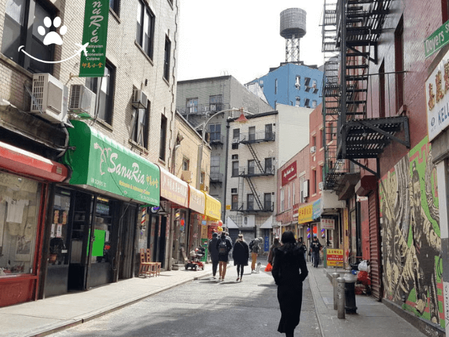 Free tour por Chinatown e Little Italy (7)