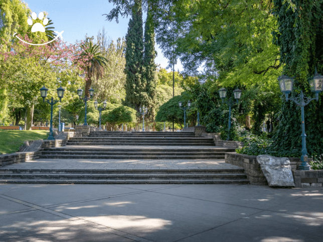 Free tour por Mendoza (5)