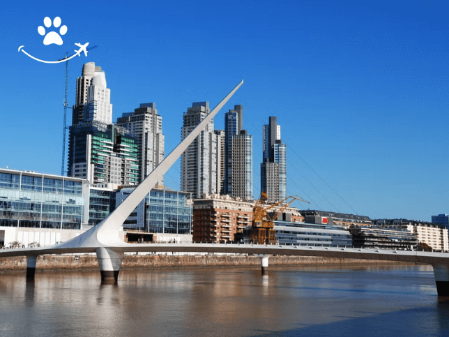 Free tour por Puerto Madero (2)