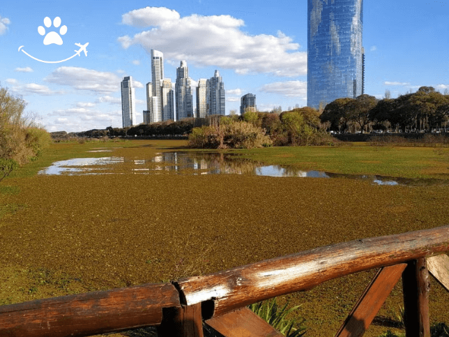 Free tour por Puerto Madero (3)