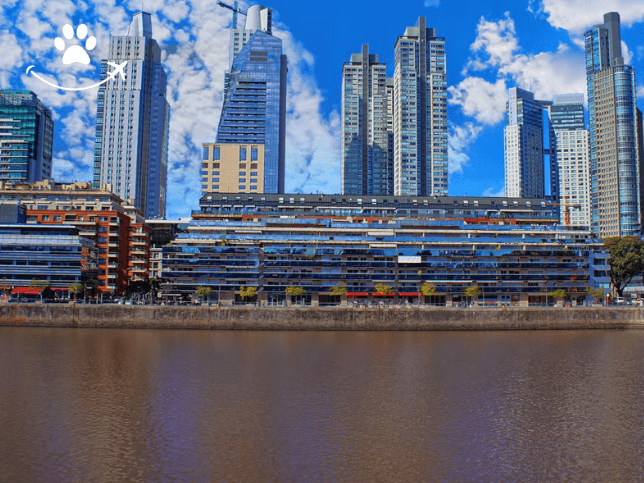 Free tour por Puerto Madero (6)