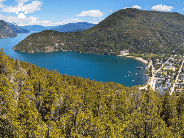 Free tour por San Martín de los Andes (3)