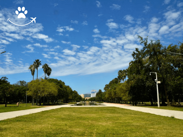 Jogo no Parque da Redenção (3)