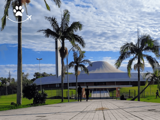 Jogo no Parque da Redenção (4)