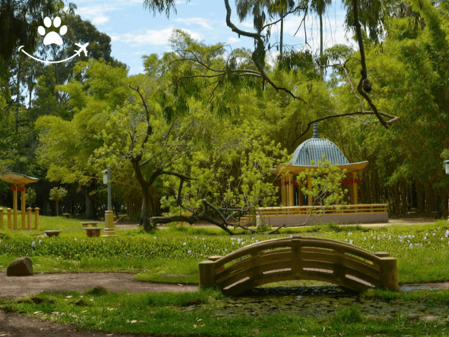 Jogo no Parque da Redenção (5)