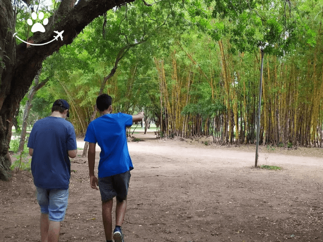 Jogo no Parque da Redenção (6)