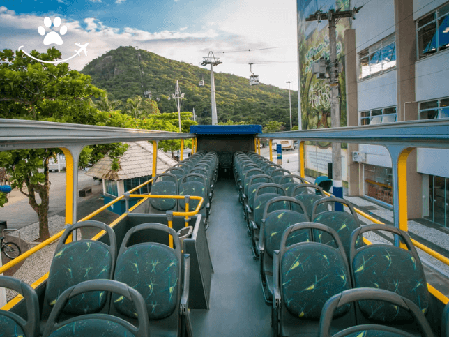 Ônibus turístico de Balneário Camboriú (4)