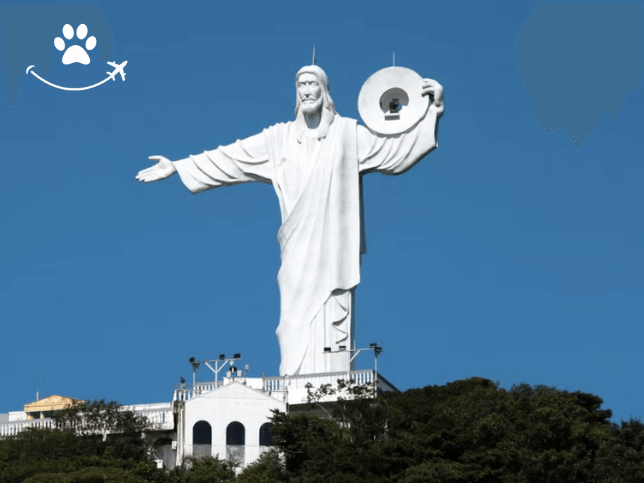 Ônibus turístico de Balneário Camboriú (6)