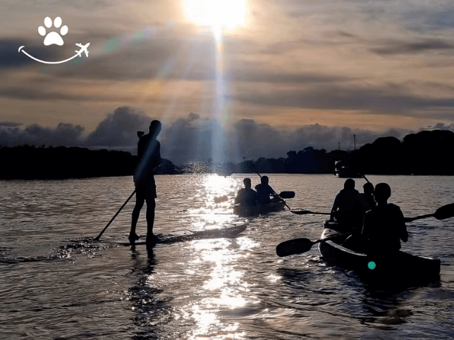 Paddle surf ao entardecer nos manguezais da Ilha de Boipeba 1 (1)