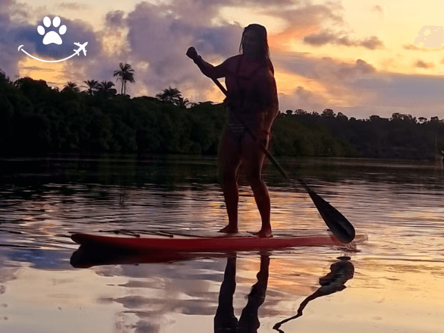 Paddle surf ao entardecer nos manguezais da Ilha de Boipeba (3)