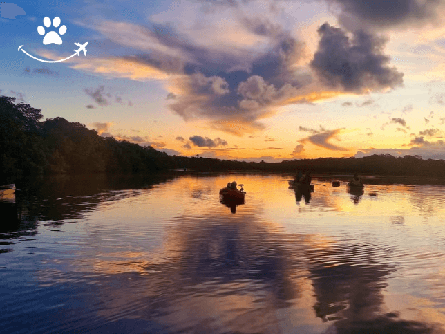 Tour de caiaque ao entardecer nos manguezais (2)