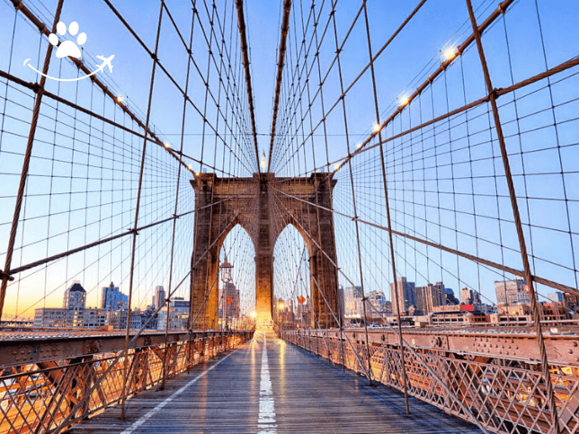 Tour pela Ponte do Brooklyn e pelo Bairro Dumbo (4)