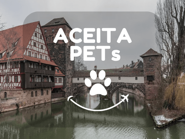 Tour pelas pontes do rio Pegnitz (1)