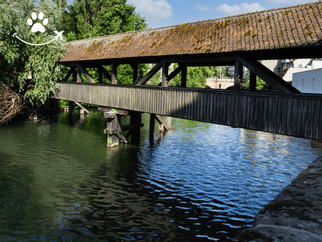 Tour pelas pontes do rio Pegnitz (2)