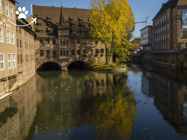 Tour pelas pontes do rio Pegnitz (7)