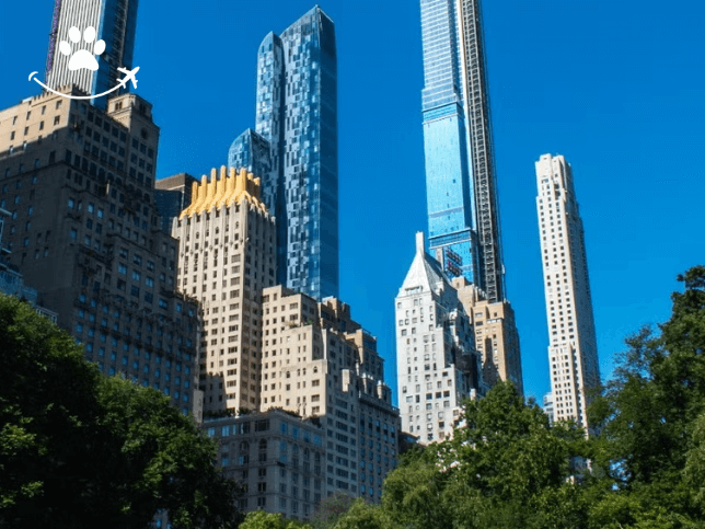 Tour por Central Park e Midtown Manhattan (1)