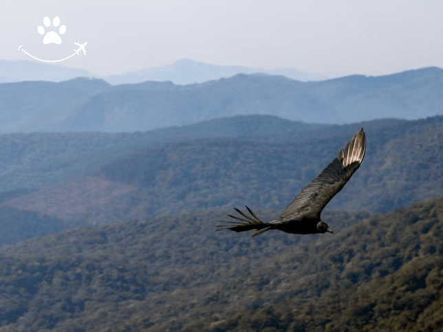 Trilha pela Pedra Redonda com piquenique (1)