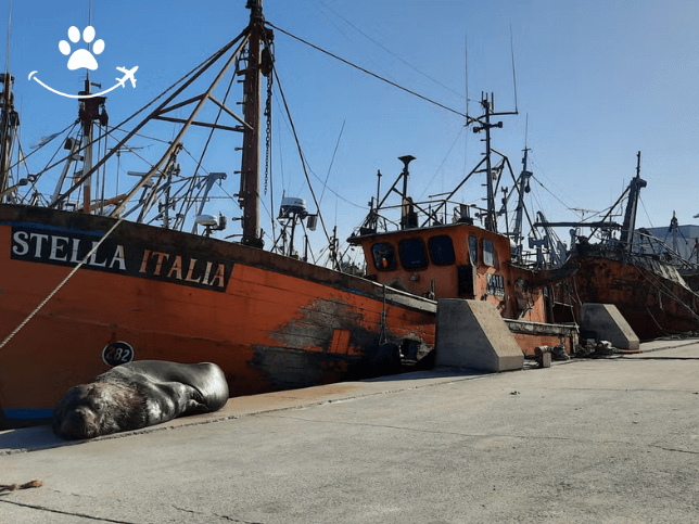 Trilha pela costa de Mar del Plata (3)