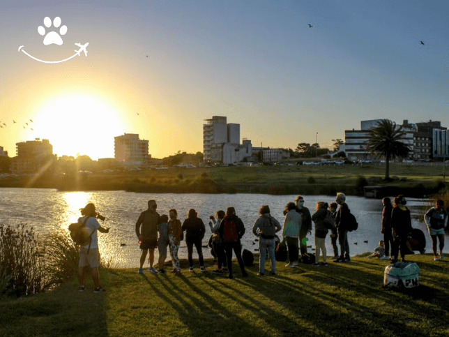 Trilha pela costa de Mar del Plata (7)