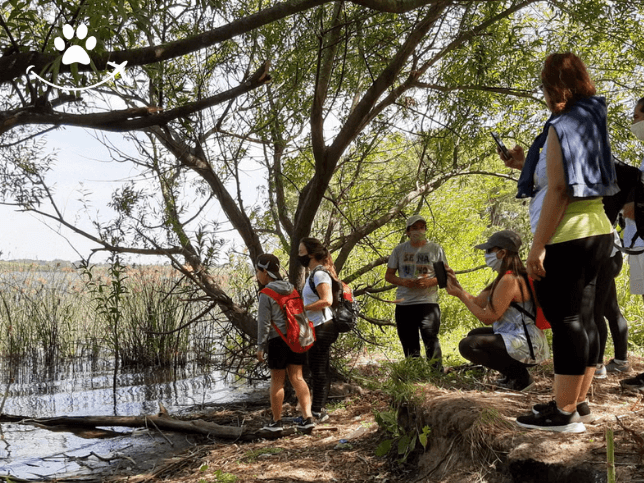 Trilha pela laguna de los Padres (4)