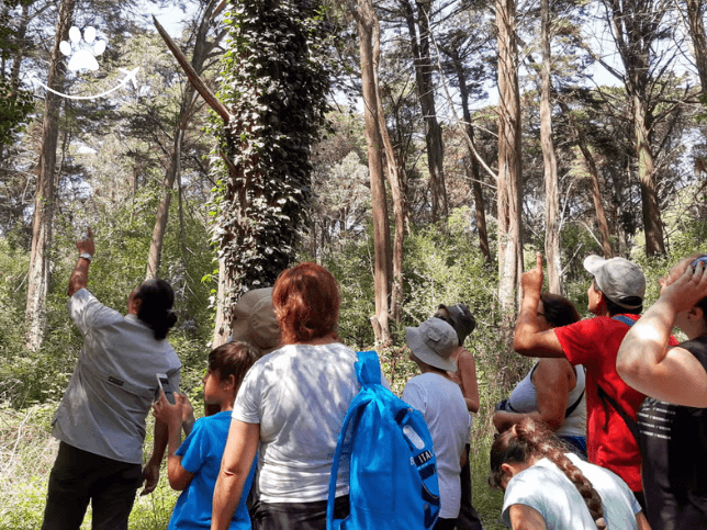 Trilha pela laguna de los Padres (7)