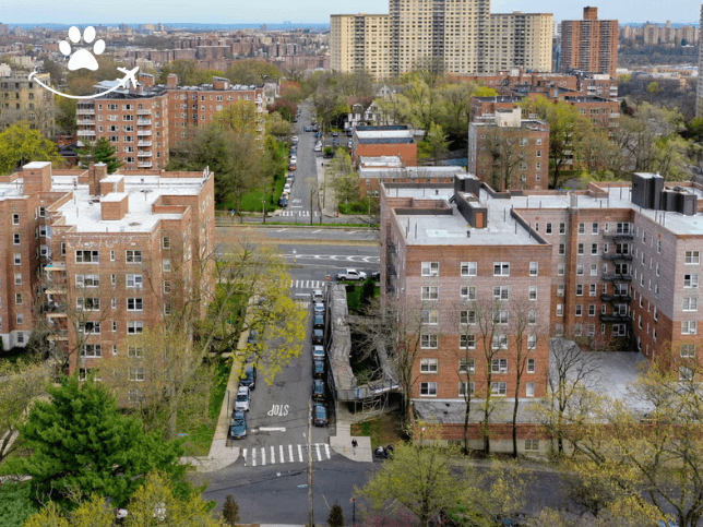 Visita guiada pelo Bronx (8)