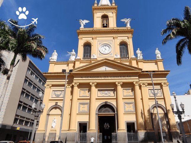 Visita guiada por Campinas (4)