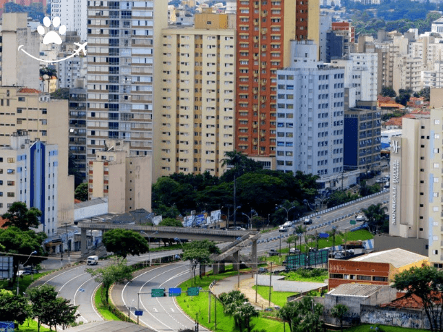 Visita guiada por Campinas (6)