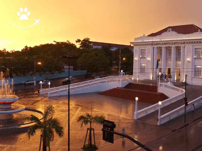 Visita guiada por Rio Branco (3)