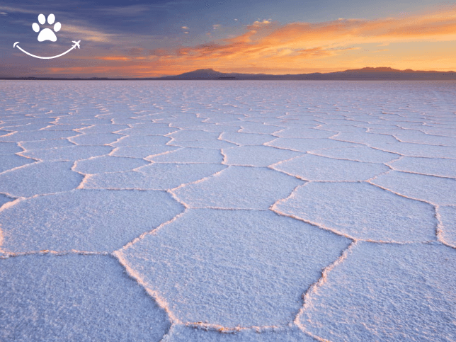 3 dias pelo Salar de Uyuni e seus desertos (3)