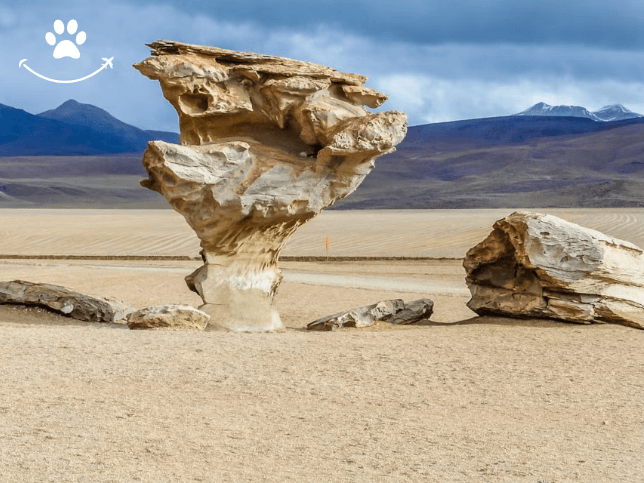 3 dias pelo Salar de Uyuni e seus desertos (4)