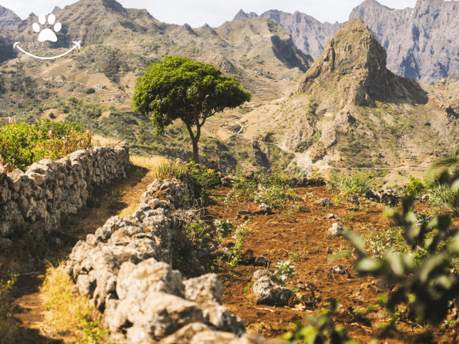 Excursão a Corda, Coculi e Figueiral de Cima (4)