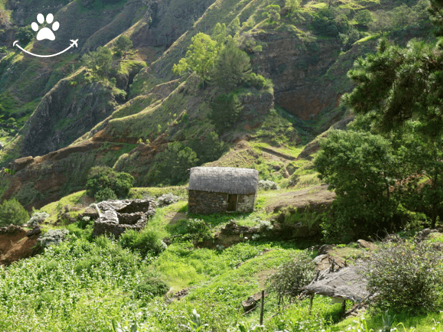 Excursão a Corda, Coculi e Figueiral de Cima (7)