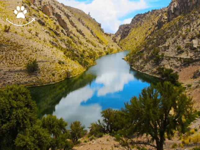 Excursão à fazenda Cayara e Villacolo (5)